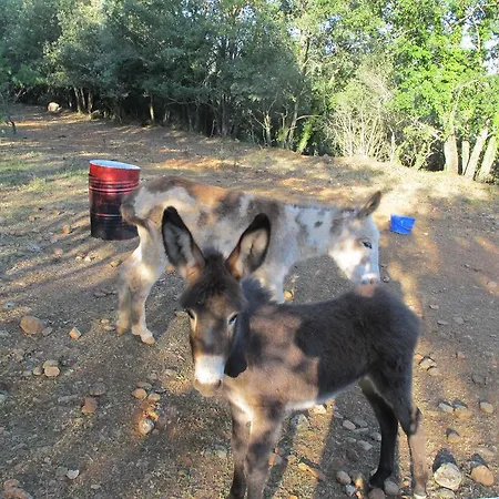 Gospodarstwo wiejskie El Ensueno