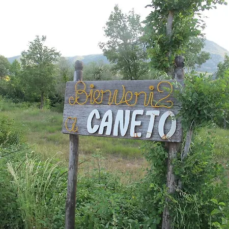 El Ensueno Caneto