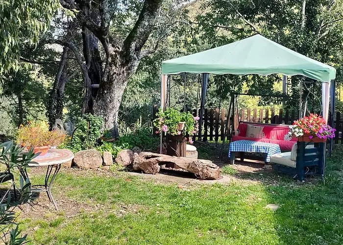 El Ensueño * Caneto