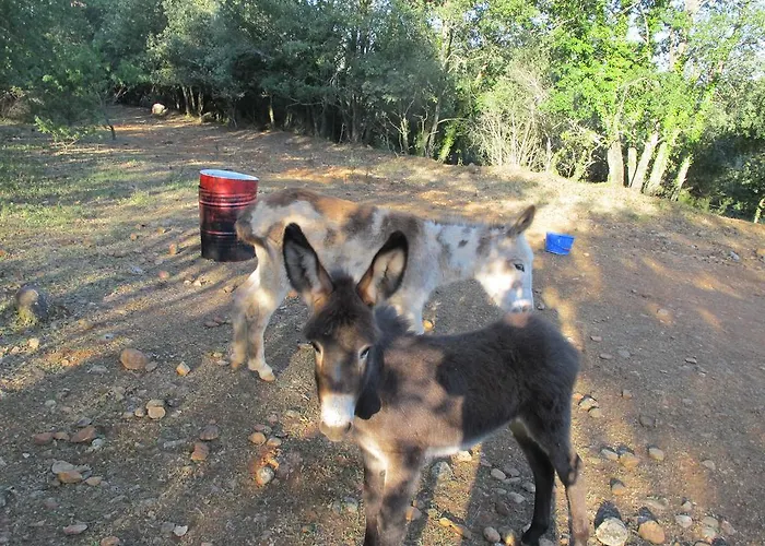 Casa rural El Ensueño
