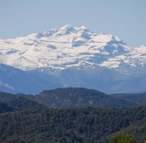 El Ensueño * Caneto